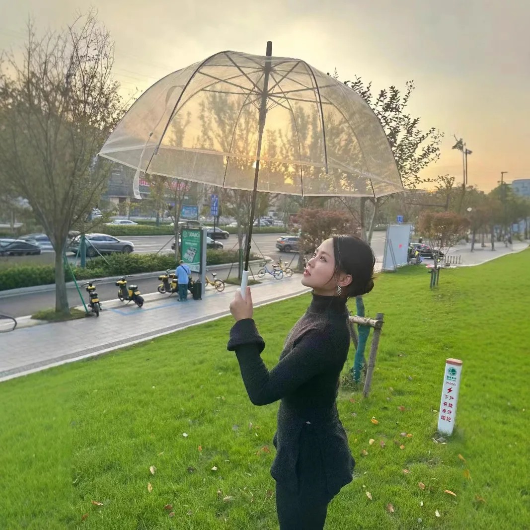Arch Shaped Transparent Umbrella Fresh Style Student High Value Windproof Rain Umbrellas Transparent Long Handle Ambrellah Women