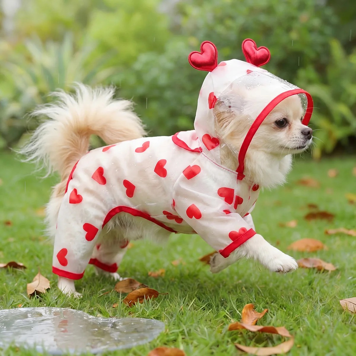 Spring Summer New Outdoor Dog Raincoat Transparent Waterproof Rainbow Teddy Bixiong Medium Small Rainy Days