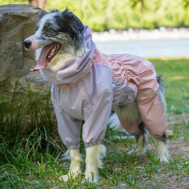 Large Dogs Waterproof Hooded Raincoat for All-Season Use Four-Legged Leash Animal Husbandry Design Eva Pet Dog Raincoat