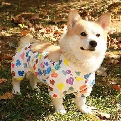Corgi Shiba Inu Dog Clothes Four-Legged Apparel Belly Protection Short-Legged Breeds Mud- Water-Resistant Bib-Type Raincoat