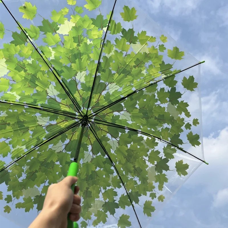 Wholesale Maple Leaf Transparent Long Handled Straight Umbrella with Semi Automatic Opening Customizable for Personal Gift