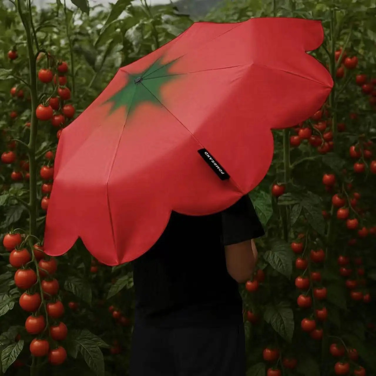 Tomato Umbrella High-Value Tomato Dual-Use Umbrella Windproof Sunshade Creative Umbrella Fashion Ins Umbrellas
